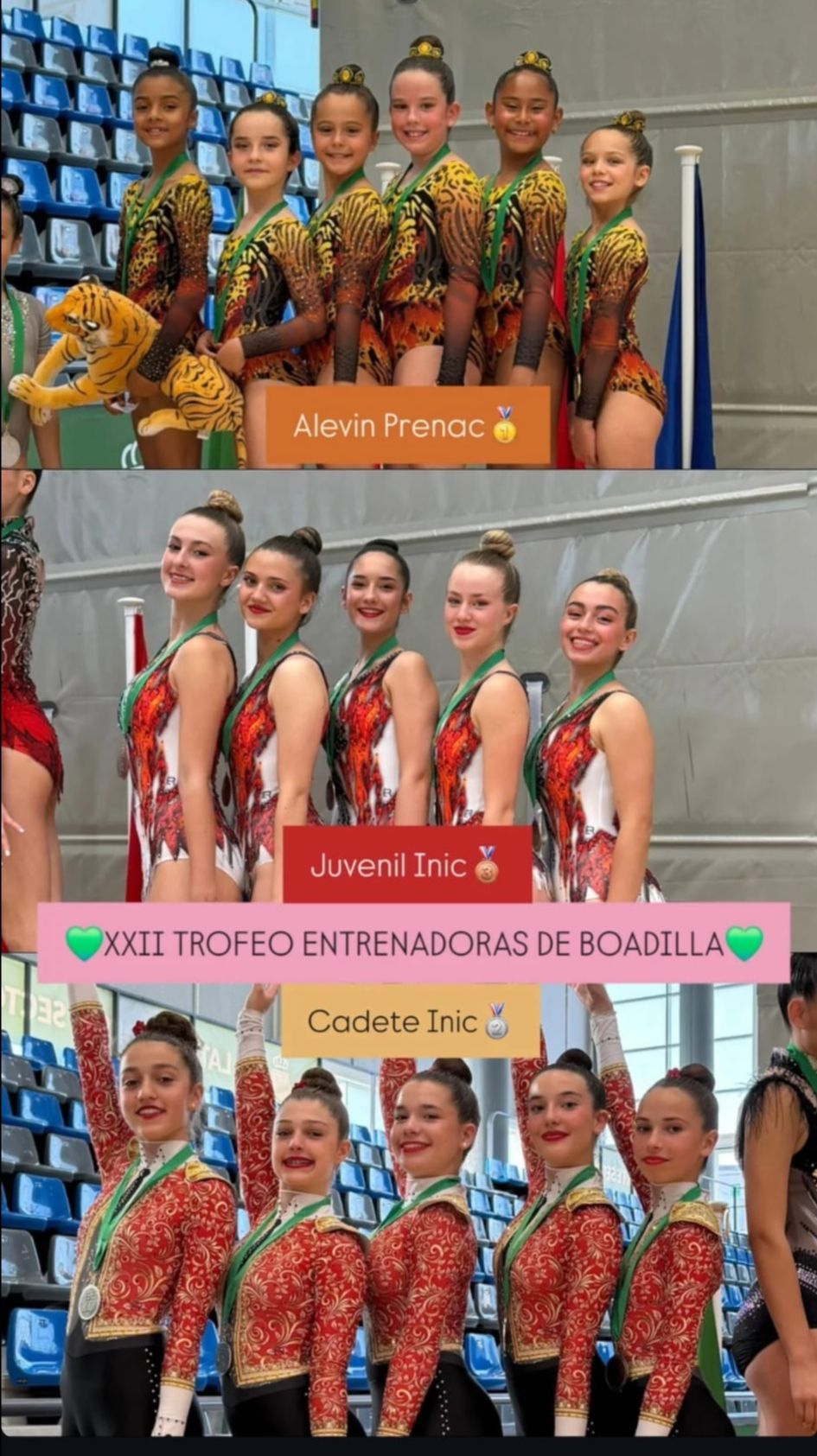 Gimnasta del club durante el Trofeo de Entrenadoras